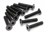 Flat head screw m3x15mm (hex socket/10pcs)