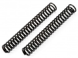 Throttle spring 2.2x20x0.4mm 23 coils (2pcs) afbeelding