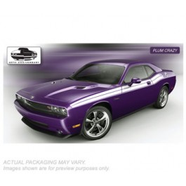 AMT 10 Dodge R/T CL.Plum 1/25 afbeelding