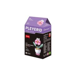 Sluban Pleyerid Potted plant A