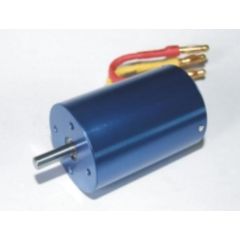 Brushless motor (Twister)