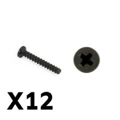 FTX Tracer pan head self tapping screws pbho 2x12mm (12pcs) (FTX9755)