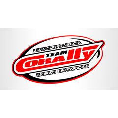 Team Corally - Vlakke sluitring - M6 - Inox - 10 st (C-3201-60)