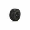 1/10 AMP MT/DB Front/Rear Tire, Black Wheel, Premounted (2) (ECX43012)