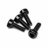 Wide cap head torx screw m4x12mm (4pcs)