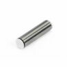 Piston pin