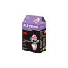 Sluban Pleyerid Potted plant A