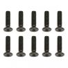 Screws m2.5X10mm FHCS (10) (AS31350)