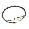 Centro Lipo balanskabel 60cm (4+5mm accu aansluiting)