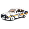 FTX MK2RS 1/10 Brushless 4WD Rally Car RTR - Wit