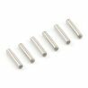 FTX Vantage/ Carnage/ Outlaw pins 10x2 (6pcs) (FTX6513)