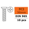 Verzonken schroef met philips kruissleuf, M3X30, Gegalvaniseerd staal (10st)