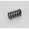 Slipper spring (LA-207)