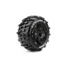 Louise X Champ X-Maxx MFT Banden Set op Zwarte Velgen 24mm hex
