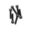 Screws, 2.5x12mm cap-head machine (6)