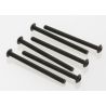 Screws, 3x40mm button-head machine (hex drive) (6)