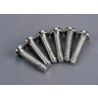 Screws, 5x20mm roundhead self-tapping (6)