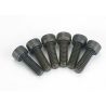 Screws, 4x12mm cap-head machine (6)
