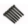 Screws, 4x36mm cap-head machine (6)