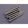 Screws, 3x30mm roundhead machine (6)