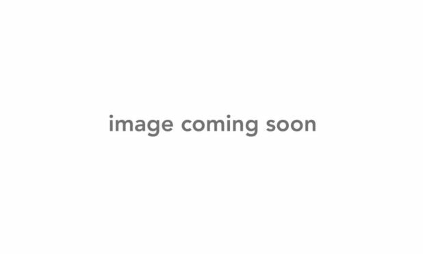 Canopy: Nano S2 (BLH1303)