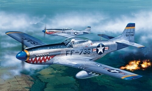 Italeri 1/72 P - 51D Mustang afbeelding