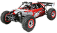 RC Auto's